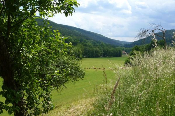 Blick ins Tal bei Kirchzell