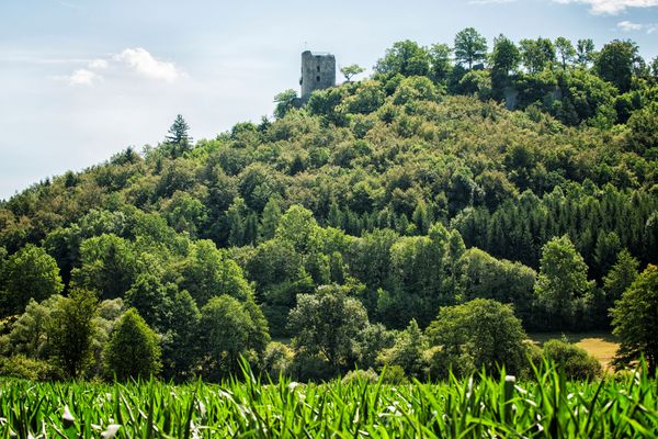 Im Vordergrund ein grünes Feld, im Hintergrund erhebt sich auf einem bewaldeten Hügel ein Turm einer Burgruine.