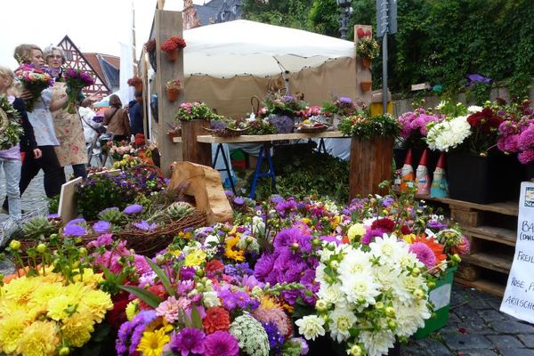 Blumenpracht zum Groß-Umstädter Bauernmarkt