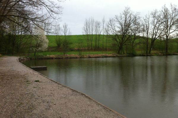 Weg entlang des Streicherweihers