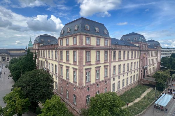 Blick auf das Residenzschloss mit Mansardendächern und umliegenden Bäumen unter bewölktem Himmel