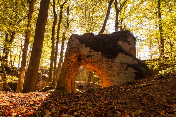 Reste der "Alten Burg" unterhalb der Ortschaft Buch