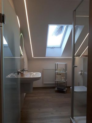 Ein modernes Badezimmer unter einer Dachschräge mit Dusche, WC und Waschbecken. Unter dem Dachfenster steht ein halbhohes Badregal mit verschiedenen Utensilien.