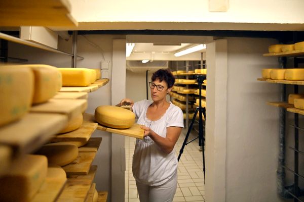 Eine Frau in weißer Kleidung steht in einem hellen Kellerraum mit Regalen und streicht mit einer Bürste über einen Laib Käse. In den Regalen liegen noch viele weitere Käselaiber. Auh m Raum dahinter sind noch mehr Regale mit Käse zu sehen.