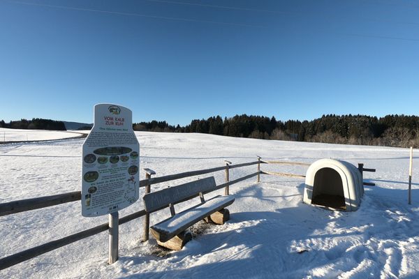 Winterwandern auf dem Milchweg