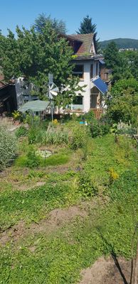 Haus- und Gartenansicht