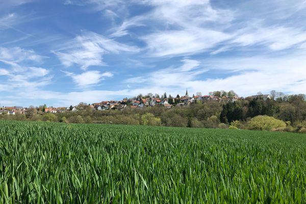 Blick über ein grünes Feld auf Homberg, das sich auf einem Höhenzug im Hintergrund erhebt. Der Himmel ist strahlend blau und mit weißen Schleierwolken durchzogen.
