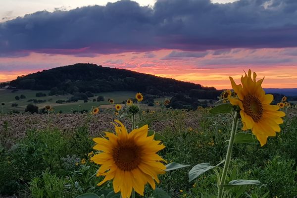 Sonnenuntergang Katzenbuckel