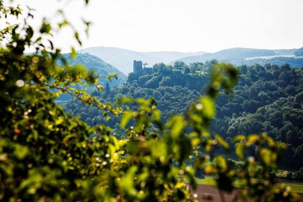 Wir spitzen durch einen grünenden Baum auf die in weiter Ferne stehende Burgruine.