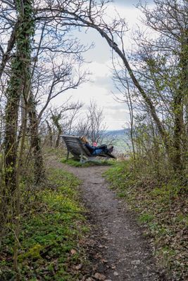 Blick auf das Waldsofa am Aussichtspunkt Schlüsselstein