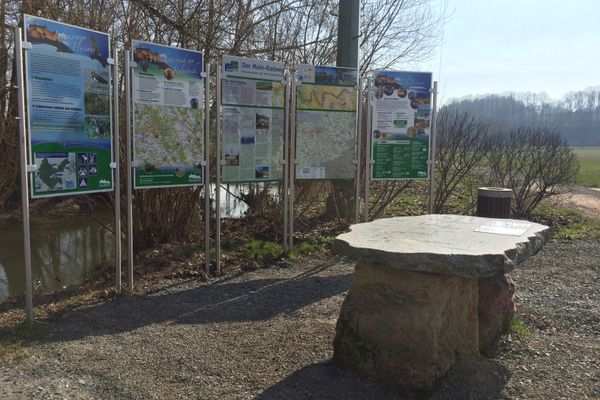 Informationspunkt am Mainzusammenfluss