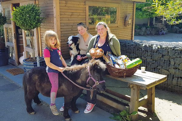 Ein kleines Mädchen mit blondem Haar sitzt strahlend auf einem kleinen, braunen Pony. Auf einem Tisch dahinter sitzen zwei Frauen. Eine hält einen Korb mit Eiern und neben ihr steht ein anderer Korb mit Lebensmitteln. Die Zweite hält einen schwarz-weißen Bordercollie Hund im Arm. Hinter den Menschen ist eine hölzerne Hütte zu erkennen, der Hofladen. Im Eingangsbereich stehen einladend kleien Bäumchen in Kübeln.
