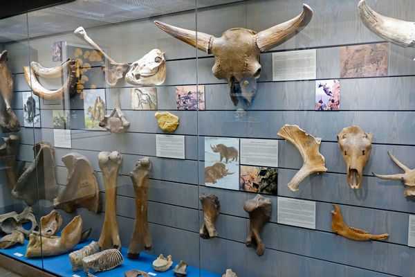 Lobdengau-Museum