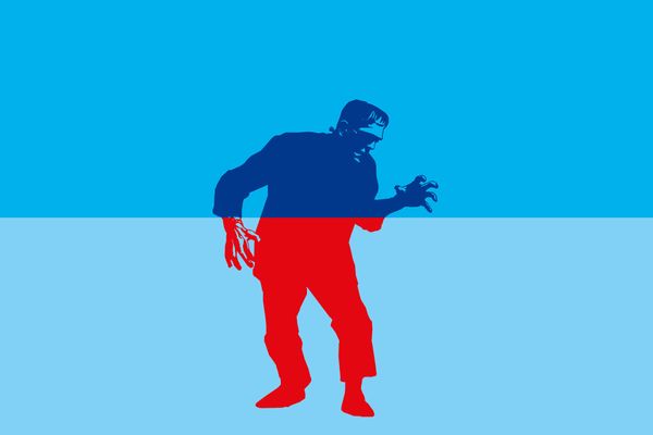 Bild des Datensatzes Frankenstein oder Wieso fehlt dem Dicken Turm ein Stück