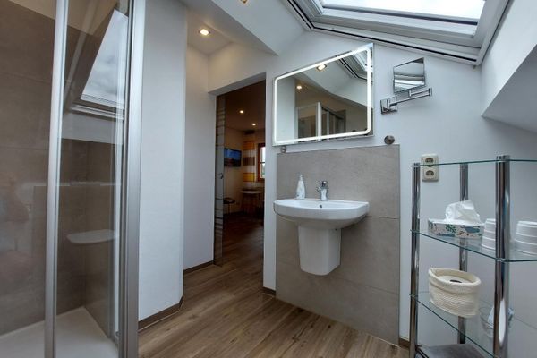 Ein modernes Badezimmer mit Holzfußboden. Unter einer Dachschräge mit Fenster befinden sich eine Dusche, ein Waschbecken, ein Spiegel, ein Kosmetikspiegel und ein Edelstahl-Glasregal mit verschiedenen Utensilien. Die zum Teil graue gestreifte Glasschiebetür zum Schlafzimmer steht offen.