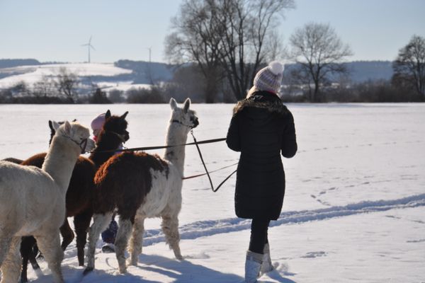 Tolle Wanderungen auch im Winter