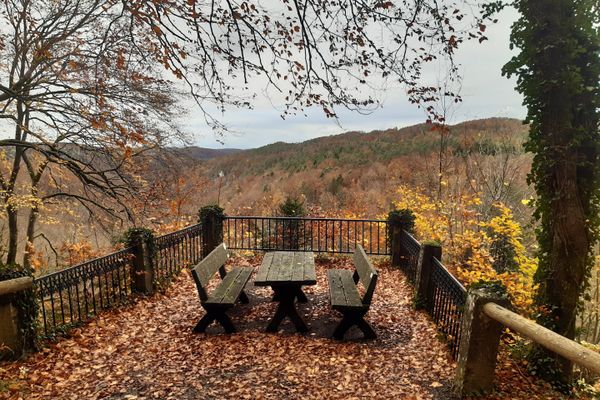 Gößweinstein – Spaziergang durch den Eibenwald