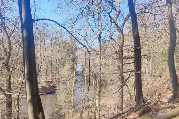 Vom Wanderweg oberhalb der Sängershöhe bietet sich ein weiter Blick ins Ilmenautal bei Medingen. Der Fluss zieht sich durch den lichten Frühlingswald und unterstreicht die landschaftliche Vielfalt der Radreiseregion im Landkreis Uelzen.