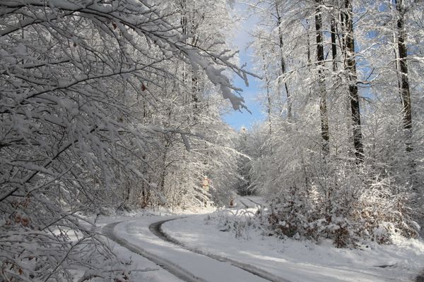 Winterlandschaft