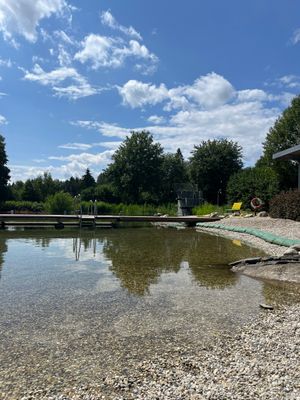 Das Bild zeigt den Wasserbereich im Naturerlebnisbad Nordhalben.