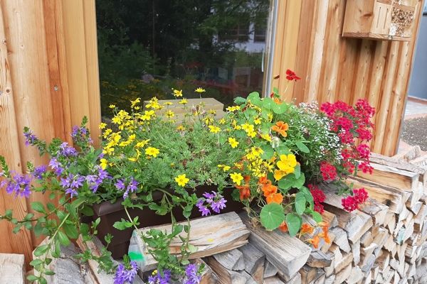 Blumenkasten mit schönen bunten Blumen bepflanzt.