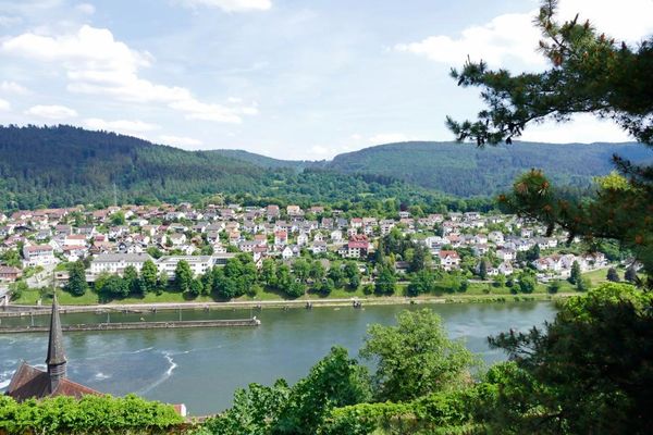 Blick auf Hirschhorn