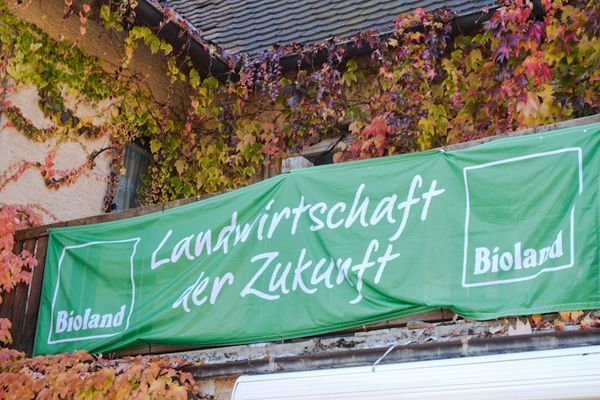 Seit 1995 betreiben die Schmidt die Landwirtschaft nach ökologischen Richtlinien