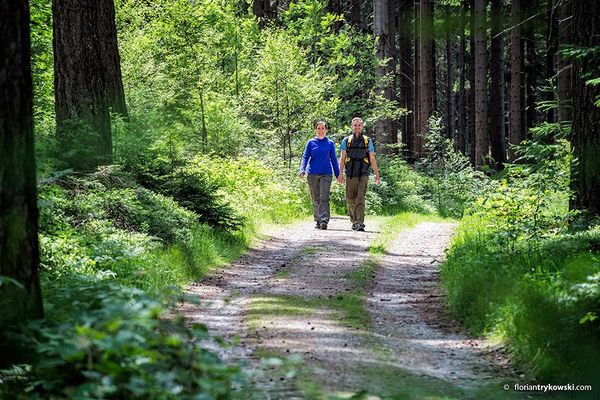 Zwei Wanderer im Fichtelgebirge