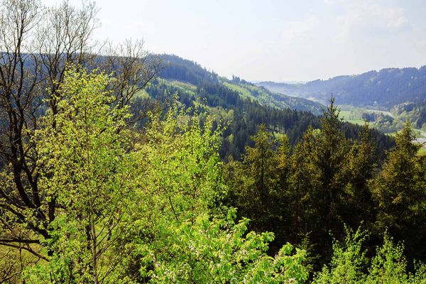 Aussicht vom Silberberg