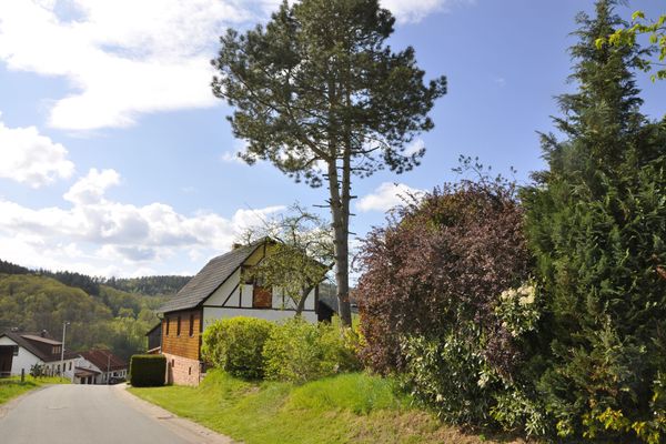 Blick zum Haus