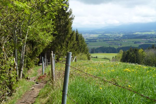 Im unteren Teil führt der Jägersteig panoramareich am Waldrand entlang.