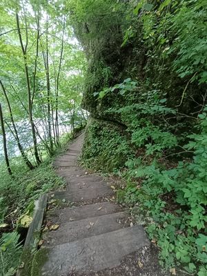 #5 Auf dem Franken- und Marienweg
