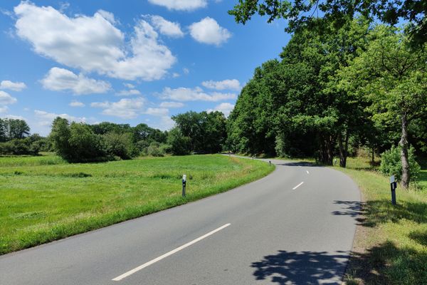 Leicht geschwungene asphaltierte Landstraße zwischen Holdenstedt und Hamerstorf mit weißen Leitpfosten am Fahrbahnrand. Links erstreckt sich eine grüne Wiesenfläche, rechts schließt dichter Laubwald an. Über der Szene ein blauer Himmel mit locker verteilten Quellwolken.