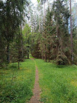#5 Auf dem Franken- und Marienweg