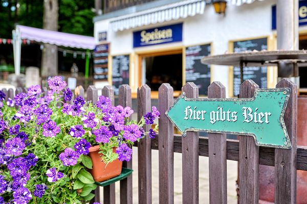 Blick auf einen zaun mit lila Blumen.