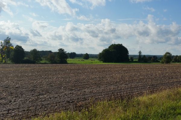 Weitläufige Feldmark bei Schafwedel mit offenen Ackerflächen und weitem Blick über die Landschaft.