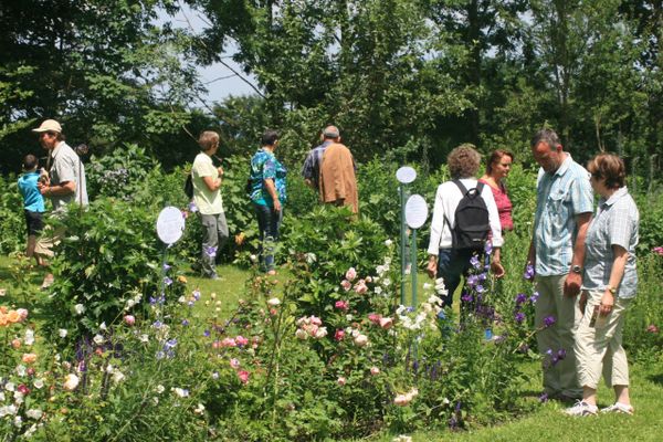 Der Betrachter sieht schöne Blumen und Pflanzen auf einer Wiese. Dazwischen die Besucher.