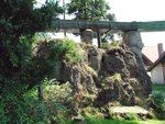 Der Betrachter sieht eine geologische Besonderheit indem Sand Hügelformationen bildet.