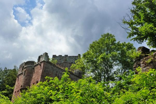 Burgruine Wildenberg