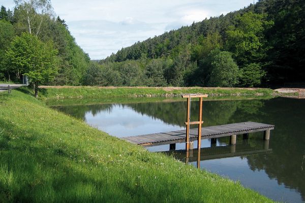 Im Vordergrund ist ein spätherbstlicher Teich zu sehen, der am kahlen, leicht abfallenden Uferrand liegt. Auf einer Anhöhe hinter dem Teich und vor dem Wald steht ein großer Gebäudekomplex. Rechts im Vordergrund ist der hohe Stamm eines Baumes zu sehen, dahinter steht auf der anderen Ufenseite ein Angler.