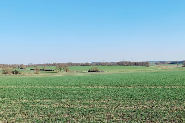 Kurz vor Niendorf I öffnet sich der Blick über eine sanft hügelige Agrarlandschaft mit Feldern, Einzelbäumen und Windrädern in der Ferne. Vom sogenannten Hochplateau aus reicht der Blick weit über die Landschaft der RadReiseRegion Uelzen – ein stiller Ort mit klarer Fernsicht und viel Himmel.