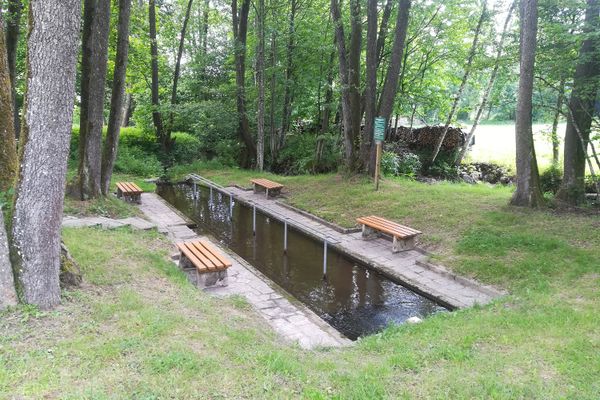 Zwischen hohen Laubbäumen liegt eine Wassertretanlage mit mittig umlaufender Haltestange. Links und rechts des Kneippbeckens stehen je zwei Sitzgelgenheiten mit Holzauflagen.