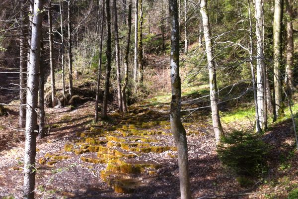 Stufen der Kalkterrassen