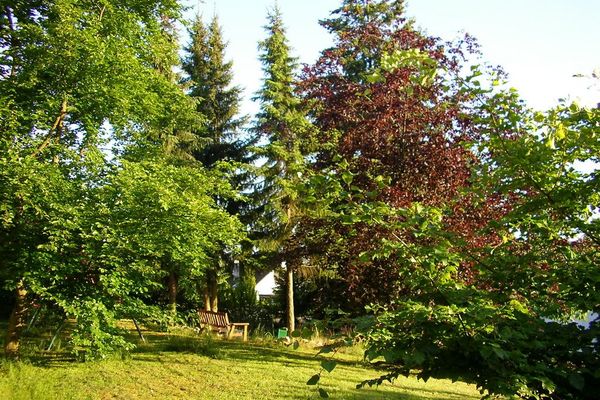 Ferienwohnung Ziegelhütten