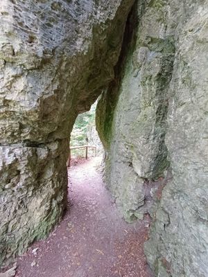 #1 Ultratrail Fränkische Schweiz