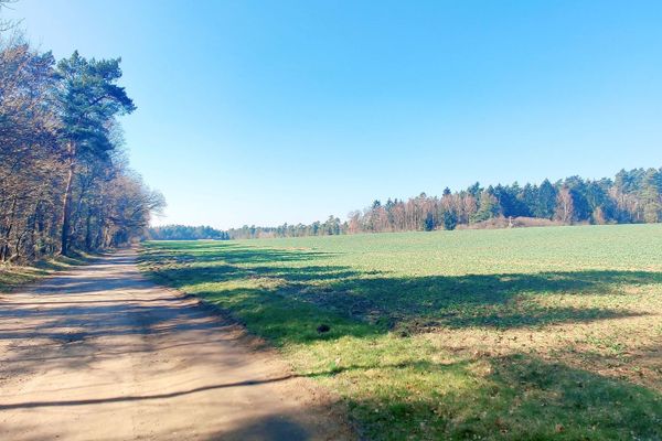 Bruchtorfer Weg, ein breiter Feldweg am Waldrand bei Bad Bevensen, umgeben von Wäldern und Feldern – beliebte Route für Radfahrer und Naturfreunde in der Heideregion Uelzen.