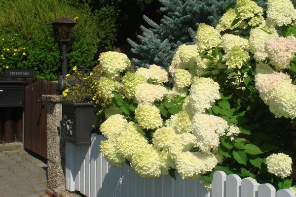 Ansicht Garten