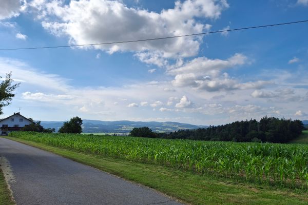 Eine schmale Straße verläuft an einem Feld entlang. Dahinter steht ein einzelnes Gebäude. Im Hintergrund erstreckt sich eine sanfte Hügellandschaft.