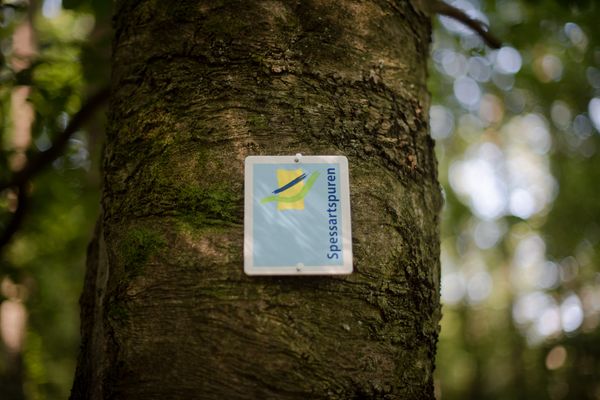 Beschilderung Spesartspur