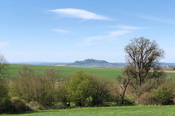 Blick über Wiesen, Büsche und Bäume auf das sich in der Ferne auf einer Anhöhe befindliche Amöneburg. Der Himmel ist strahlend blau.